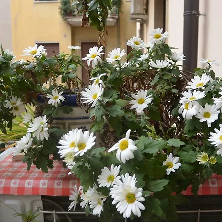 Casa Felice *