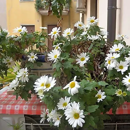Bed & Breakfast Casa Felice Verona